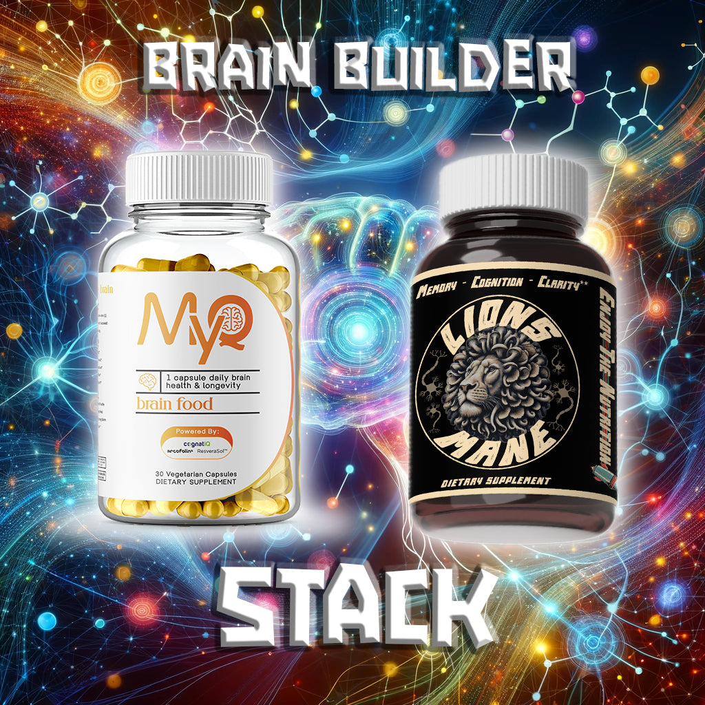 Brain Builder Stack