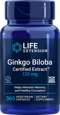Ginkgo Biloba 120mg