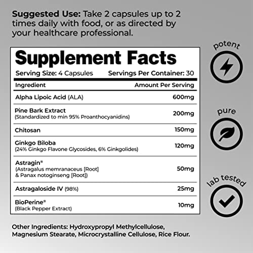 Kidney Support - Leviathan Nutrition