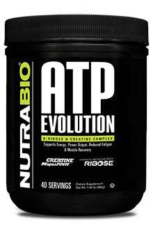 ATP Evolution