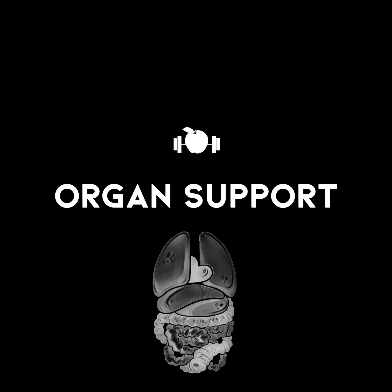 Organ Support