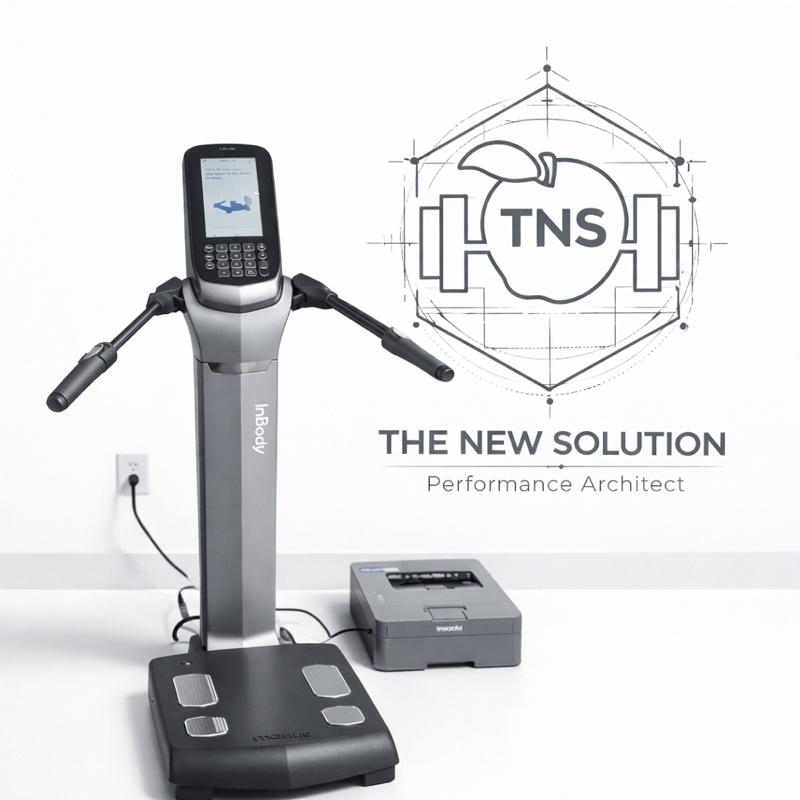 The New Solution - Body Composition + Meal Planning Strategy