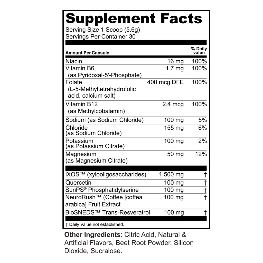 Brain Food + Electrolytes + Prebiotics Powder