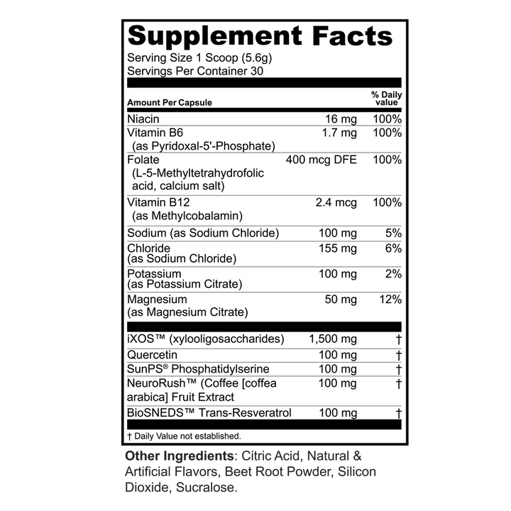 Brain Food + Electrolytes + Prebiotics Powder